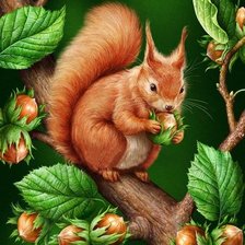 Схема вышивки «Белочка с орешками»