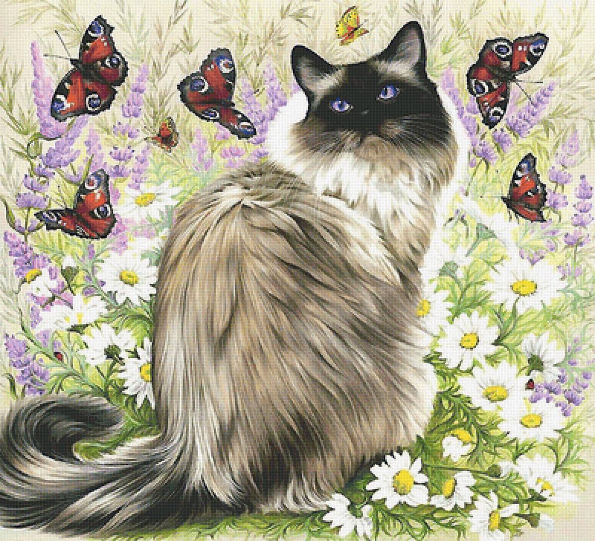 кот - кот - предпросмотр