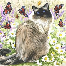 Схема вышивки «кот»