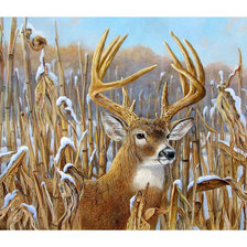 Схема вышивки «№1793329»