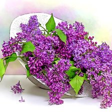 Схема вышивки «№1793379»