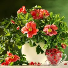 Схема вышивки «№1793386»