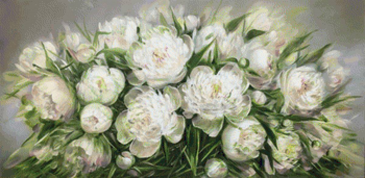 białe piwonie - предпросмотр