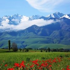 Схема вышивки «Предгорье в маках»