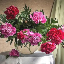 Схема вышивки «№1794240»