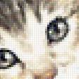 Предпросмотр схемы вышивки «котята» (№1794862)