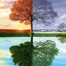 Схема вышивки «arbol 4 estaciones»