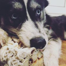 Схема вышивки «Мироха2»