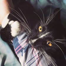 Схема вышивки «Стив»