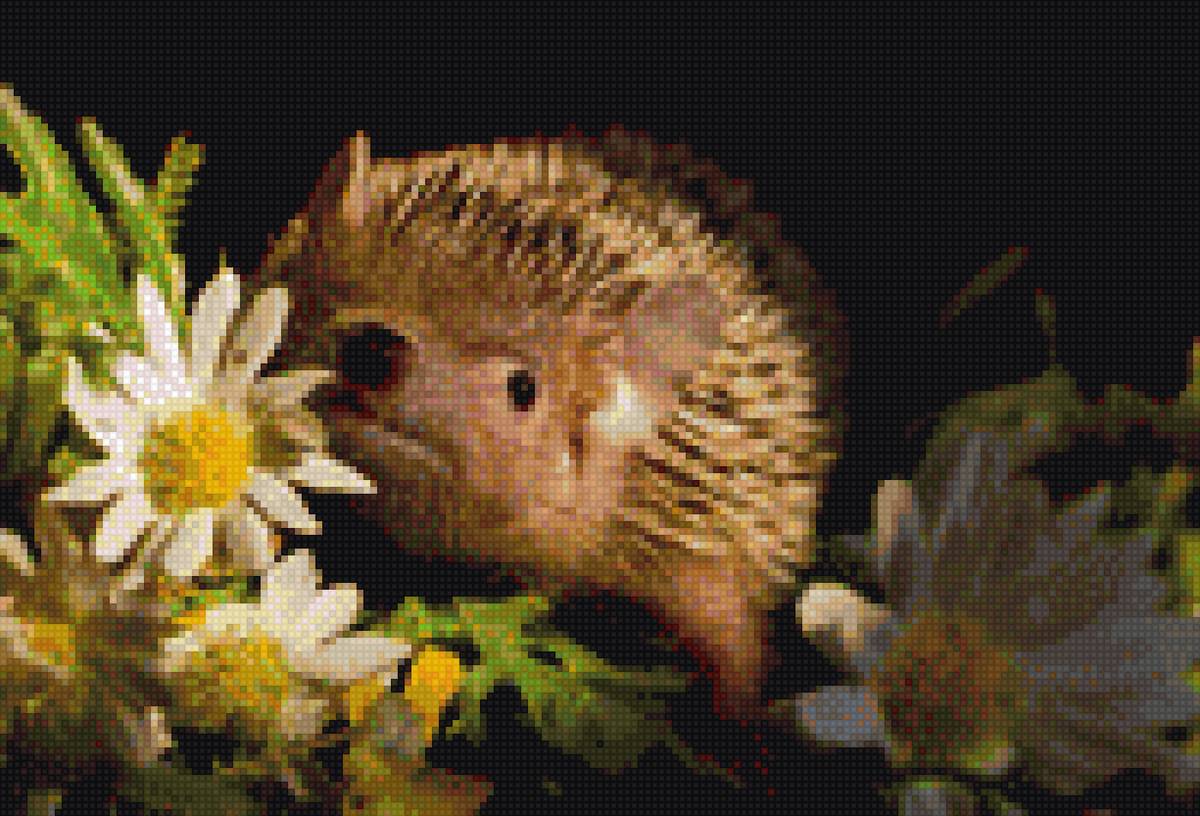 ежик 4 - ежик - предпросмотр