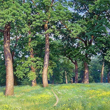 Схема вышивки «Пейзаж»