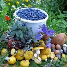 Схема вышивки «Дары леса»