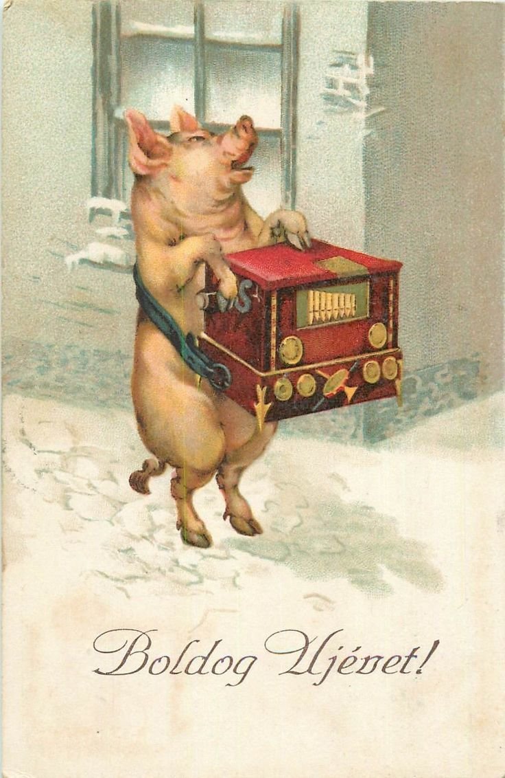 Свинка-шарманщик - поросенок, свинья, зима, музыкант - оригинал