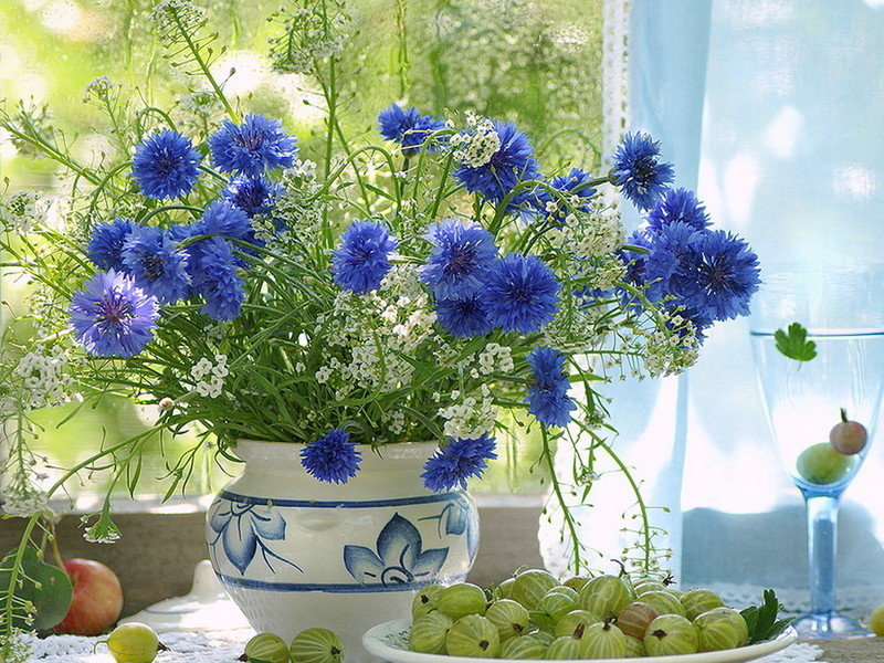 Натюрморт с крыжовником - васильки, зелень, ваза, ромашки, крыжовник, стол - оригинал