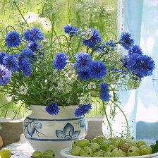 Схема вышивки «Натюрморт с крыжовником»