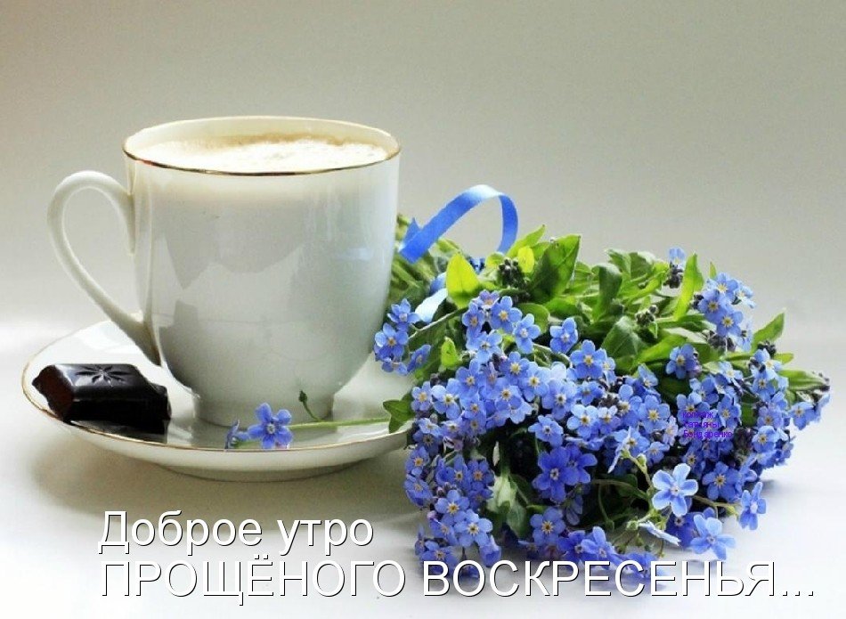 С добрым утром! - чашка, блюдце, кофе, незабудки - оригинал