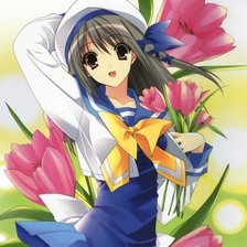 Схема вышивки «№1795629»