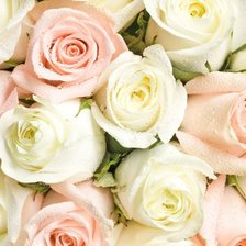 Схема вышивки «цветы букет»