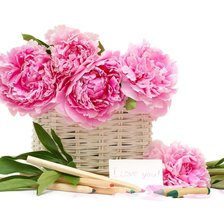 Схема вышивки «пионы»