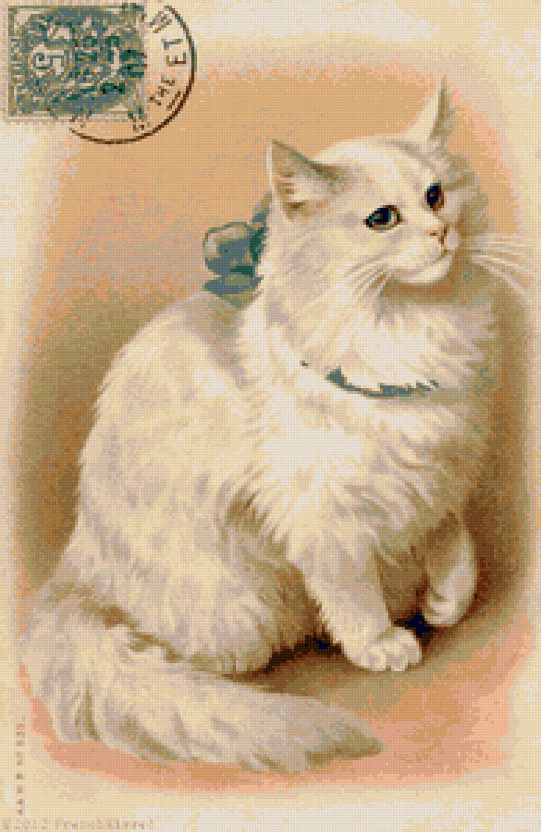 Белая кошка - кошка - предпросмотр