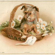 Схема вышивки «Щенок»