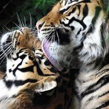 Схема вышивки «№1796336»