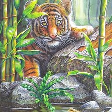 Схема вышивки «№1796917»