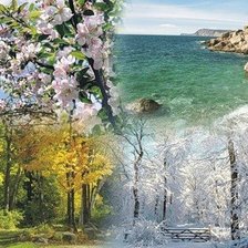 Времена года