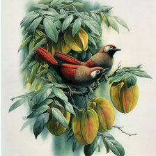 Схема вышивки «По картине Цзэн Сяо Лиана»