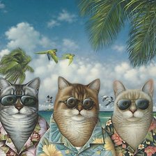 Схема вышивки «коты»