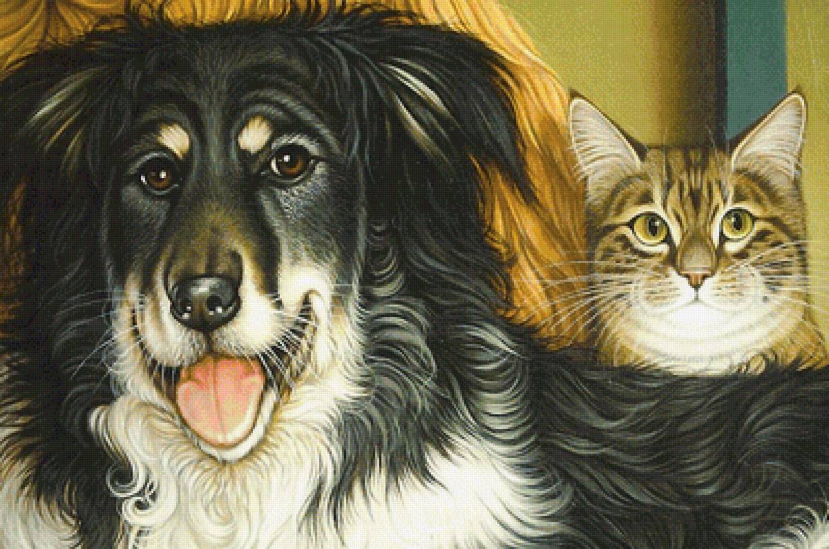 пёс и кот - собака, кот - предпросмотр