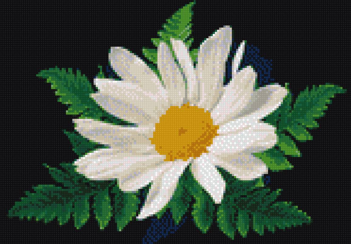 ромашка - предпросмотр