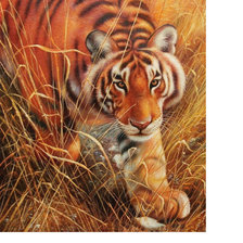 Схема вышивки «Тигр»