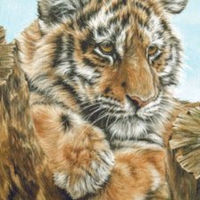 Схема вышивки «№1797584»