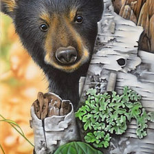 Схема вышивки «№1797980»