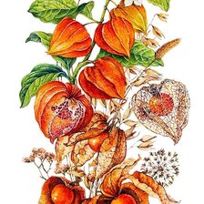 Схема вышивки «№1797991»