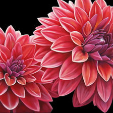 Схема вышивки «Астры»