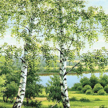 Схема вышивки «Березы»