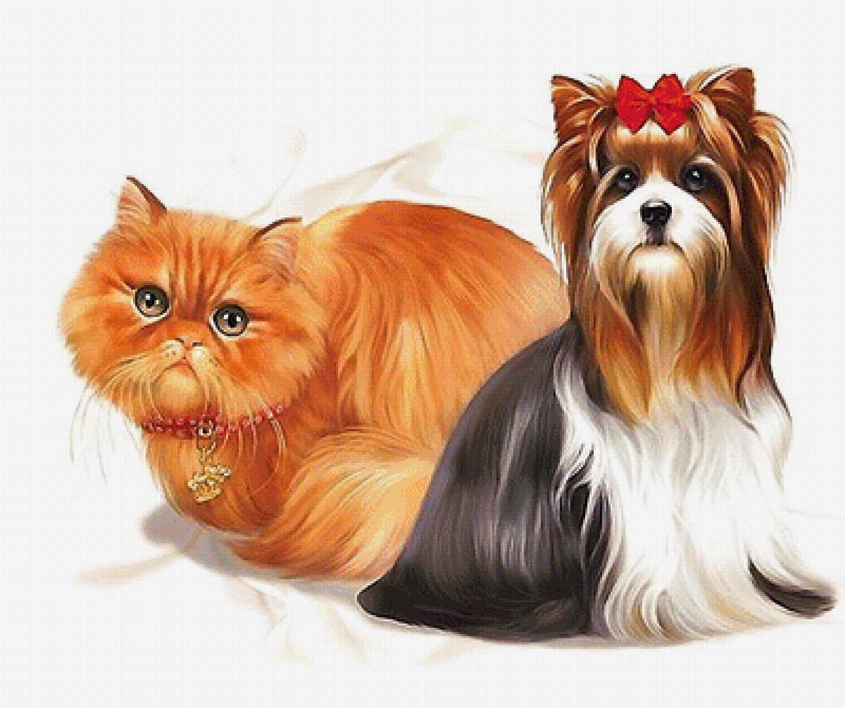 кот и пёс - кот, собака - предпросмотр