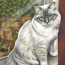 Схема вышивки «кот»