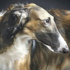 Схема вышивки «собака»