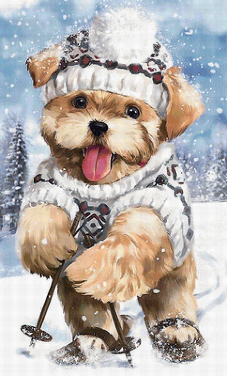 собака - собака - предпросмотр