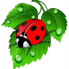 Схема вышивки «божья коровка»