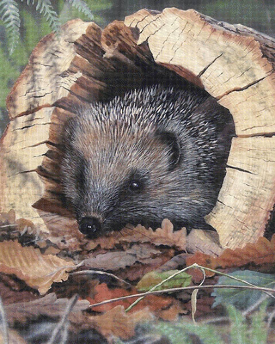 мир животных - мир животных - предпросмотр