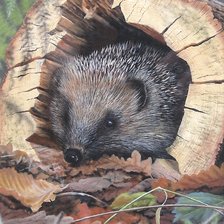 Схема вышивки «мир животных»