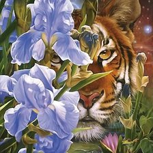 Схема вышивки «тигр»