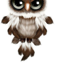 Схема вышивки «Совенок»