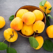 Схема вышивки «Фрукты»