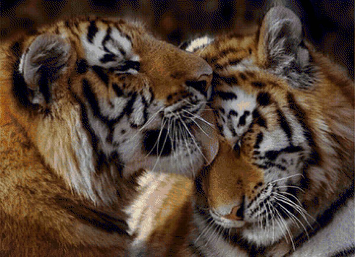 Пара - тигр, пара - предпросмотр