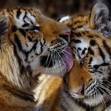 Схема вышивки «Пара»